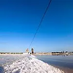 Nin-dodo * نين